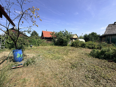Picture